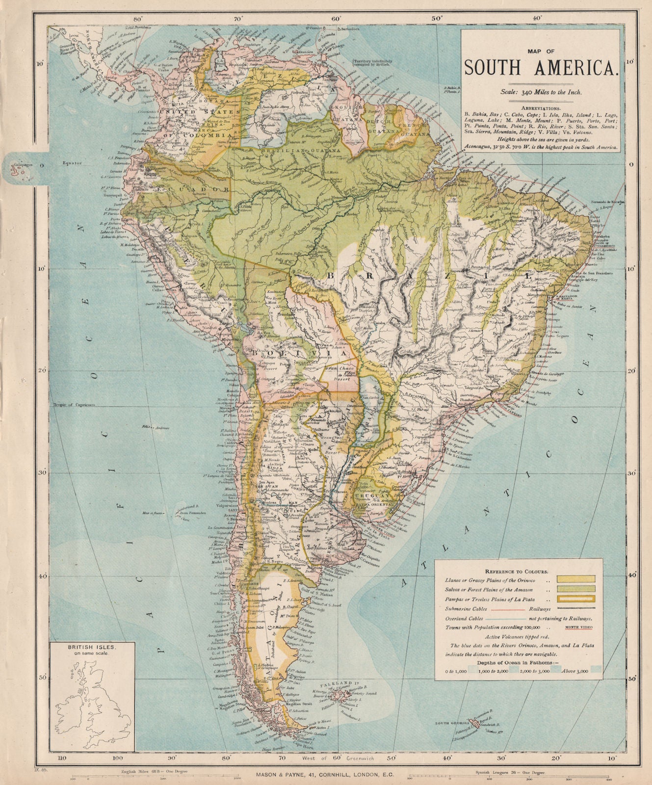 SOUTH AMERICA. Amazon rainforest. Pampas. Telegraph cables. LETTS 1889 old map